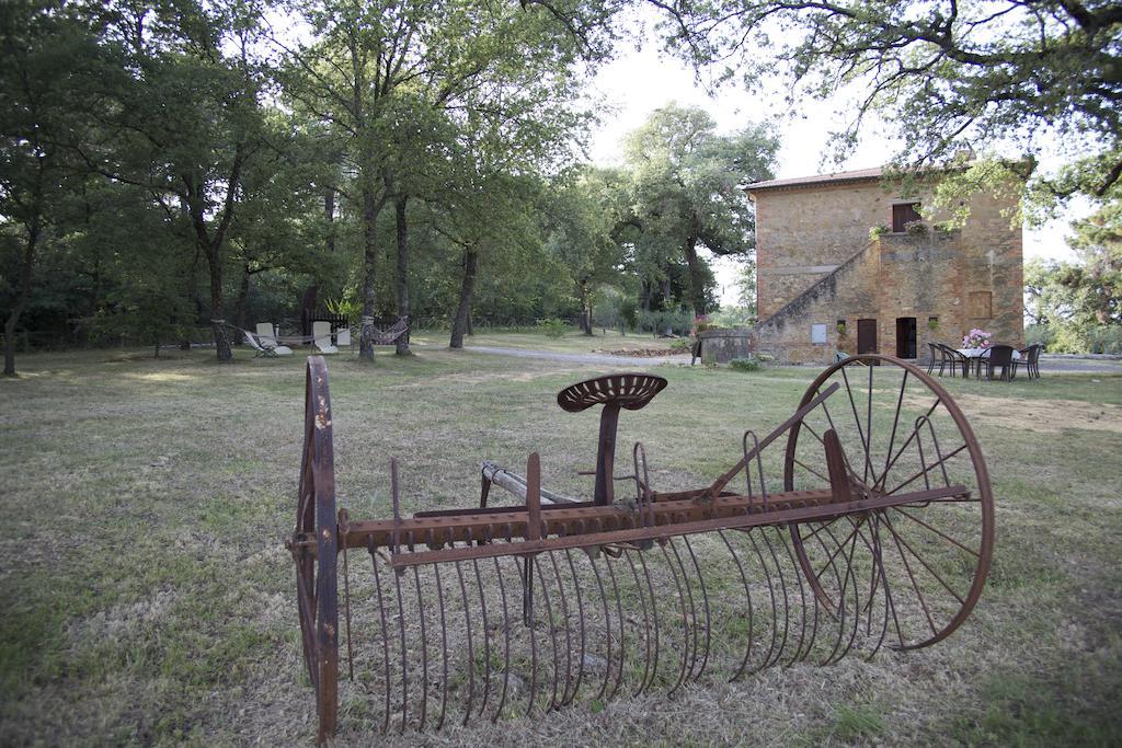 Agriturismo Torrenieri Da Alessandro Pienza Exterior foto