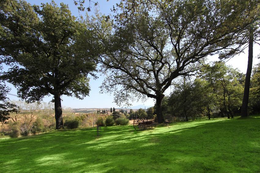 Agriturismo Torrenieri Da Alessandro Pienza Exterior foto