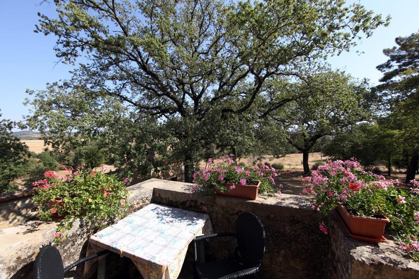Agriturismo Torrenieri Da Alessandro Pienza Exterior foto